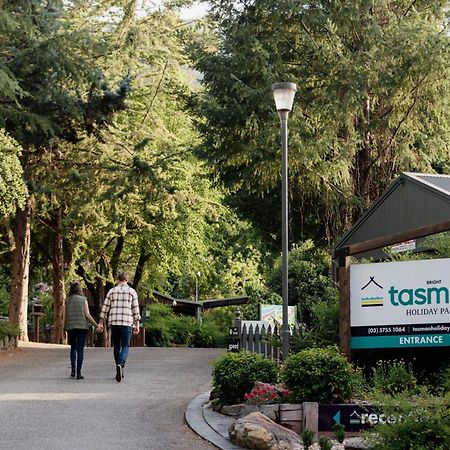 Big4 Tasman Holiday Parks - برايت المظهر الخارجي الصورة